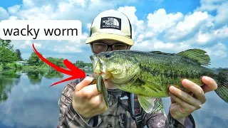 These Bass CANT Resist The Wacky Worm!