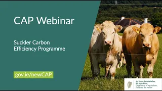 New #CAP Schemes 2023-2027 - Suckler Carbon Efficiency Programme (SCEP) webinar -Questions & Answers