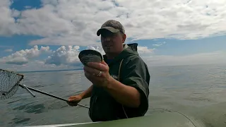 Копаем ракушку. Ракушка есть. Сахалин. Сахалинская рыбалка/Sakhalin Fishing/