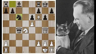 Эту КОМБИНАЦИЮ нашел даже КОТ Александра Алехина! Шахматы.