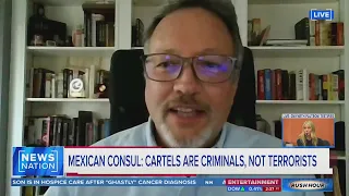 Retired DEA agent says cartels are criminals and terrorists | Rush Hour