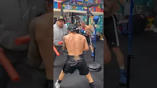 Canelo Alvarez training with Oscar Valdez and Eddy Reynoso