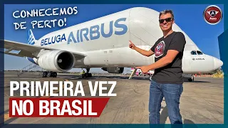 O BELUGA POUSOU pela PRIMEIRA VEZ no BRASIL - Conhecemos ele de perto!