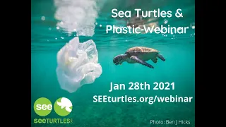 Sea Turtles & Plastic Webinar