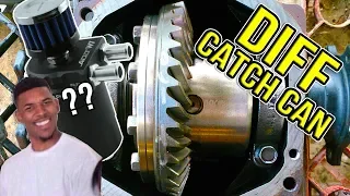 Diff Catchcan? 🤯 | feat: More Oil Leaks😢😢😢😢