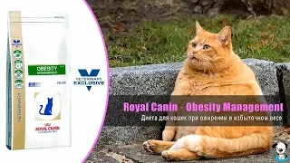 Диета для кошек при ожирении и избыточном весе · Royal Canin Obesity Management Feline