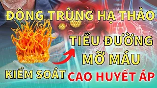 Tiểu Đường, Mỡ Máu, Cao Huyết Áp có uống được Đông Trùng Hạ Thảo không? Hotline tư vấn: 0911.6868.24