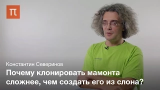 Технология клонирования животных — Константин Северинов