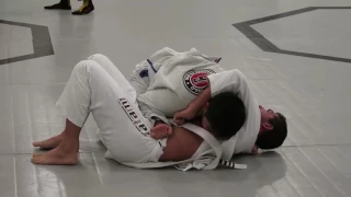 Jiu Jitsu White Belt Semi Finals