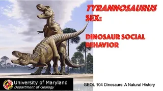 Lecture 30 Tyrannosaurus Sex:  Dinosaur Social Behavior