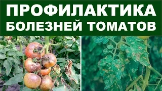 Профилактика болезней томатов на летне-осенний оборот (28-08-2018)
