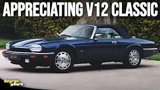 Jaguar XJS V12 - The classic grandfather of the DB7 and XK - Beards n Cars