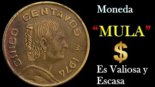 Podrias tener MUCHO DINERO  con tan solo 1 moneda como esta de 5 Centavos Josefa1970-*1976*