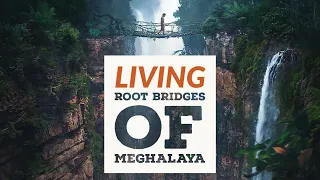 Mesmerizing Living Root Bridges of Meghalaya | Wow Travel Facts | Episode 2