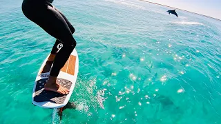 Foil Heaven! Hydrofoil Surfing Perfect Waves in Western Australia. Check Out The Dolphin!