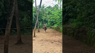 Horse riding #nature #horseriding #horseriders #sports #relaxing @travelinggadi8337