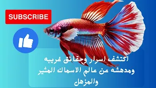 "أسرار عالم الأسماك: اكتشف ٣٠ حقيقة غريبة عن الأسماك الاستوائية والأسماك العميقة"🐠🐟🐡