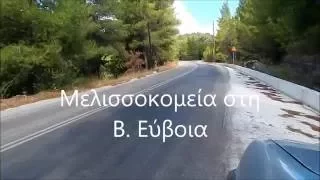 Μελισσοκομεία στη Β. Εύβοια, μικρό οδοιπορικό