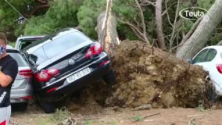 Në Ulqin - stuhi dhe qielli në flakë,rrëzohen drunj qindra vjecar