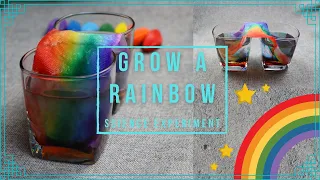 How to Grow a Rainbow | Fun Science Experiment for Kids 🌈 🌈 🌈