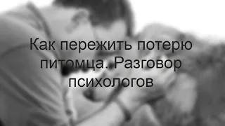 Как пережить потерю любимого питомца. Разговор психологов