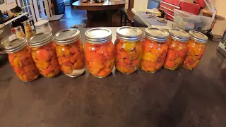 Pickling Carolina Reaper and Dragons Breath Peppers