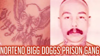 NORTENO BIGG DOGGS PRISON GANG FROM WASHINGTON!!! GET SHUTDOWN AND SET STRAIGHT BY SKIP