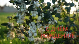 С Днём Рождения,пожелания с Днем Рождения/осенний день рождения/осенние мотивы/autumn /