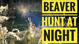 Beaver Hunting at Night | Suppressed 22