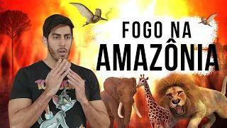 Fogo na Amazônia - DESCONFINADOS (Erros no Final)