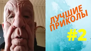 Я РЖАЛ до слёз | Лучшие приколы 2021 | Best Coub