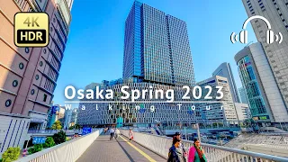 Osaka Spring 2023 South to North Long Walking Tour - Osaka Japan [4K/HDR/Binaural]