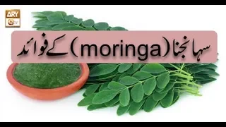 Sohanjna ke Fawaid - Moringa benefits - Hikmat Aur Sehat - 4th October 2018 - ARY Qtv