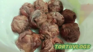 alimentación para tortugas lagarto