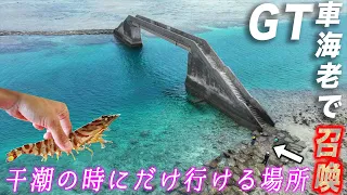 大量の車海老を餌に綺麗なGTを召喚させる！【GT狙いの久米島遠征2024 #1】