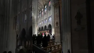 Very last Palm Sunday at Notre Dame - 4/14/2019