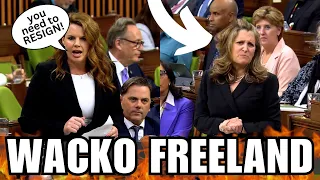 Freeland Goes Full WACKO On Conservative MP Ferreri In Parliament!