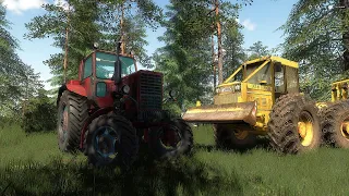 Farming Simulator 19 Fakitermelés amatőr módon :) / Forestry works MTZ, LKT Dabrowka map