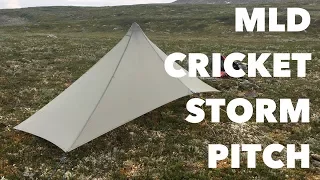 MLD Cricket storm pitch