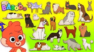 Animal ABC | Learn the Alphabet A to Z with cartoon Dogs | D is for Dog | abcd for kids
