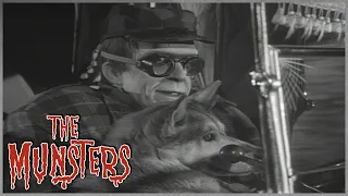 Call Of The Wild | The Munsters