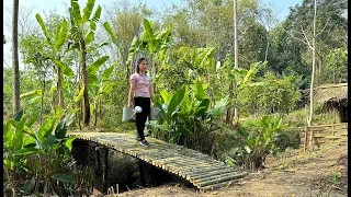 Making bamboo bridge to get water for farming for the farm. EP.19
