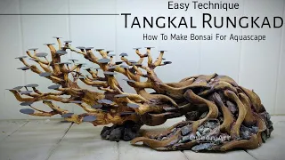 How to Make an Aquascape Bonsai - Aquascaping Tank fish