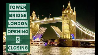 Opening Tower Bridge for a Massive Cruise | Huge Cruise Ship Passes Through Tower Bridge, London