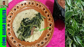 Cómo guisar quelites quintoniles al estilo de mi abuelita| Comida tradicional mexicana/Mi amiga Gaby