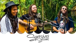 Iya Terra - Give Thanks (Live Music) | Sugarshack Sessions