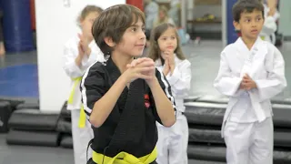 Modern Martial Arts Kids Basic Program (Ages 7-11)