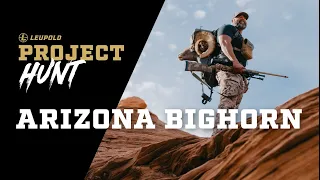 Project Hunt: Arizona Bighorn Sheep with Matt Hicks