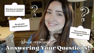 Answering Your Planty and Personal Questions! Chatty Q/A while Repotting!