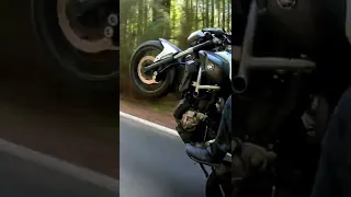 what planet is this 🤣??? #motorcyclelife  #wheelie #sportbikelife #FZ07